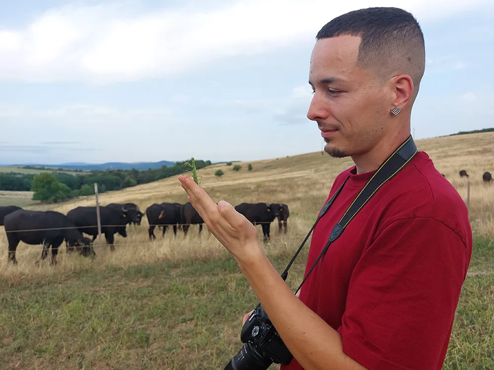 Banda Marcell munkában