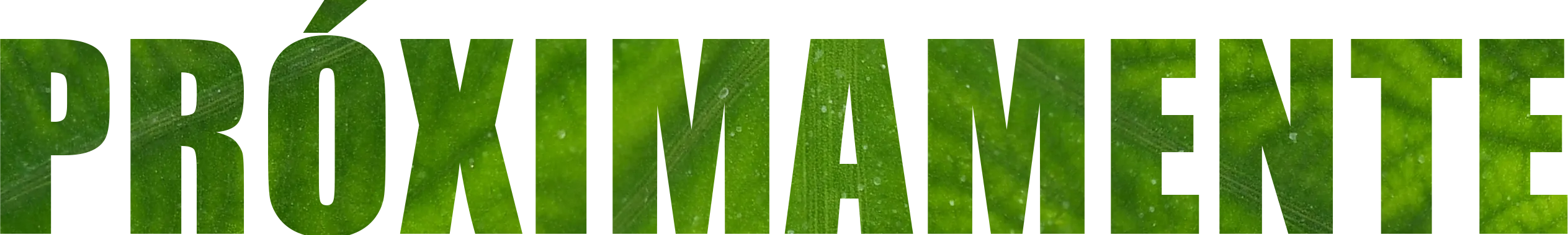 Próximamente