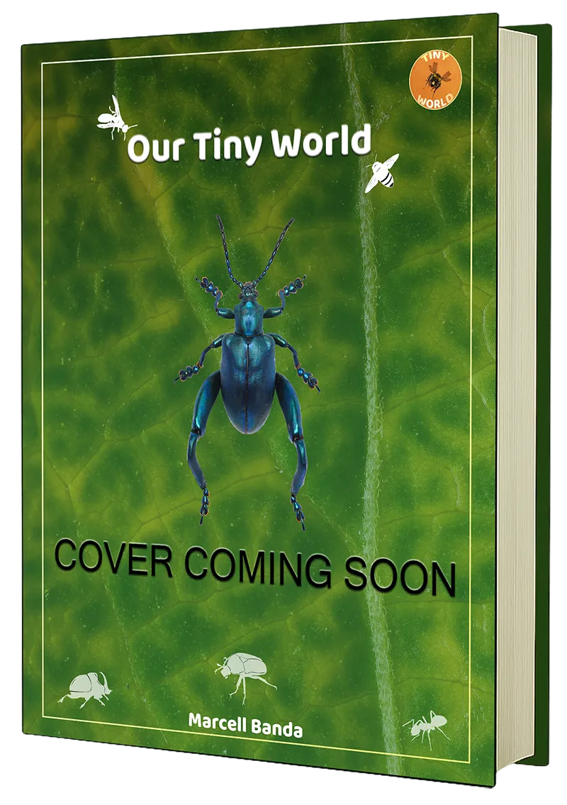 Tiny World Book